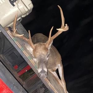 Meet your Posher, Cameron